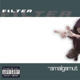 THE AMALGAMUT (CD)