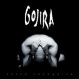 TERRA INCOGNITA REISSUE (CD)