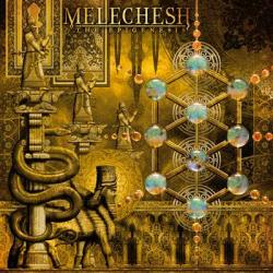 THE EPIGENESIS (CD O-CARD)