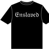 NEW LOGO (TS)