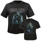 MAJESTY AND DECAY (TS)