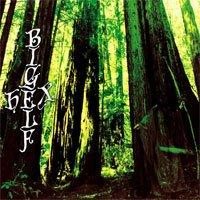 HEX RE-ISSUE (CD)