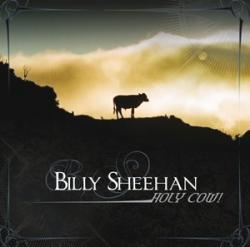 HOLY COW! (CD)