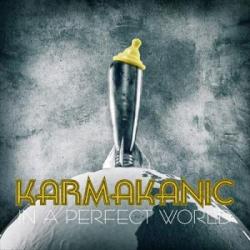 IN A PERFECT WORLD SPECIAL EDIT. (DIGI)