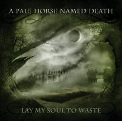 LAY MAY SOUL TO WASTE VINYL (LP+CD)