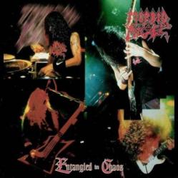 ENTANGLED IN CHAOS (CD IMPORT)