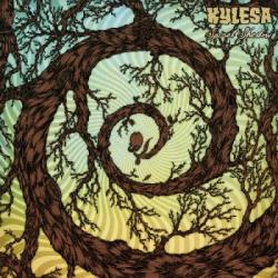 SPIRAL SHADOW VINYL (LP)