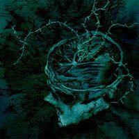 INSTINCT DECAY VINYL (LP)
