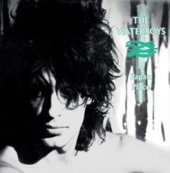 PAGAN PLACE VINYL (LP)