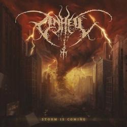 STORM IS COMING (CD)
