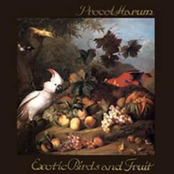 EXOTIC BIRDS AND FRUIT LTD. RED VINYL (2LP)