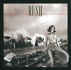 PERMANENT WAVES VINYL (LP BLACK)