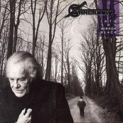 INTO THE MIRROR BLACK REMASTERED (CD)