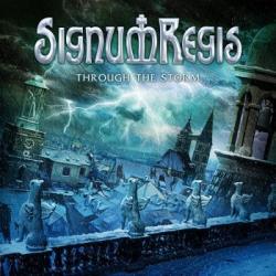 THROUGH THE STORM  (CD)