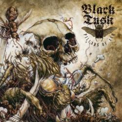 PILLARS OF ASH (CD US-IMPORT)
