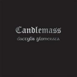 DACTYLIS GLOMERATA VINYL RE-ISSUE (LP 180G BLACK)