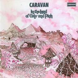 IN THE LAND OF GREY AND PINK (CD)