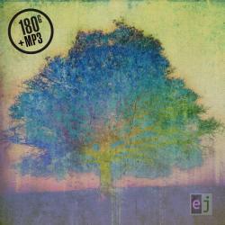 EJ VINYL (LP+MP3)