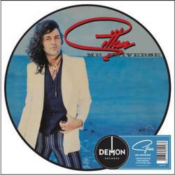 MR. UNIVERSE PICTURE VINYL (LP)