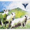 VOLK (CD)