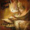 A SLEEP'S AWAKENING (2CD)