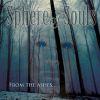 FROM THE ASHES ... (CD)
