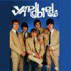 YARDBIRDS (DVD)