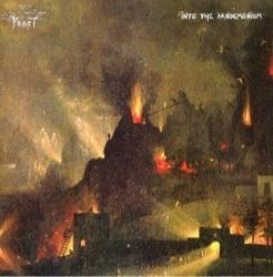INTO THE PANDEMONIUM VINYL RE-ISSUE (2LP)
