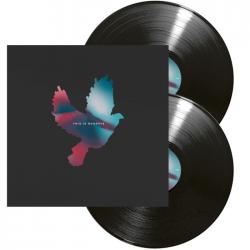 THIS IS GOODBYE VINYL (2LP BLACK)