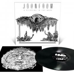 A STIRRING IN THE NOOS VINYL (LP BLACK)