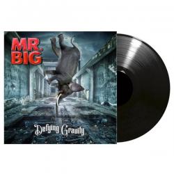 DEFYING GRAVITY VINYL (LP BLACK)