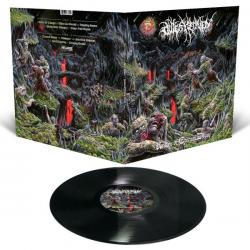 REALMS OF ETERNAL DECAY VINYL (LP BLACK)