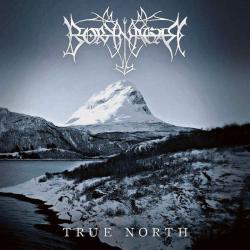 TRUE NORTH (CD)
