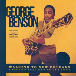 Walking To New Orleans - Remembering Chuck Berry and Fats Domino VINYL (LP BLACK)