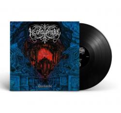 DARKSIDE RE-ISSUE VINYL (LP BLACK)