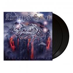 PUNCHING THE SKY VINYL (2LP BLACK)