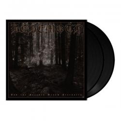 AND THE FORESTS DREAM ETERNALLY REISSUE VINYL (2LP BLACK)
