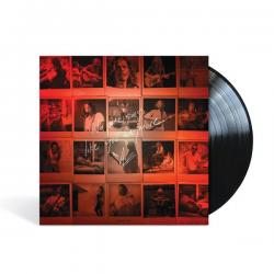 NO ONE SINGS LIKE YOU ANYMORE VINYL (LP)