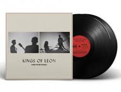 WHEN YOU SEE YOURSELF VINYL (2LP)