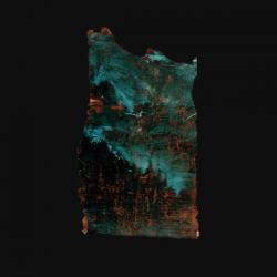 THE LONG ROAD NORTH LTD. EDIT. (MEDIA-BOOK)