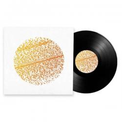 BEAUTIFUL DISTORTION VINYL (LP BLACK)