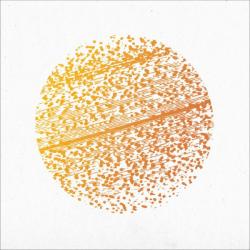 BEAUTIFUL DISTORTION LTD. EDIT. (DIGI)