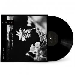 WALLFLOWERS VINYL (LP BLACK)