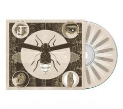 BRIGHTEN (DIGI US-IMPORT)