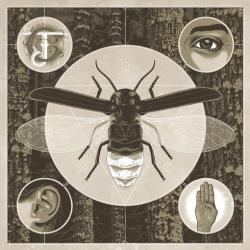 BRIGHTEN COLOURED VINYL (LP US-IMPORT)