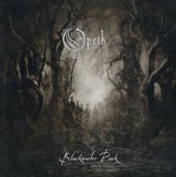 BLACKWATER PARK HQ VINYL REISSUE (2LP BLACK)