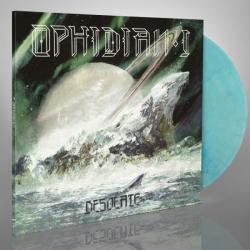 DESOLATE DOLPHIN VINYL (LP)