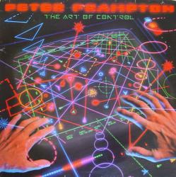 ART OF CONTROL VINYL (LP BLACK)