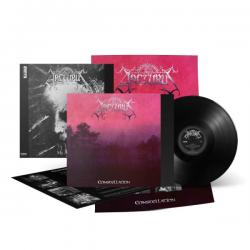 CONSTELLATION/ MY ANGEL VINYL REISSUE (LP)