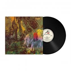 THOUGHT FROM DESCENT VINYL (LP BLACK)